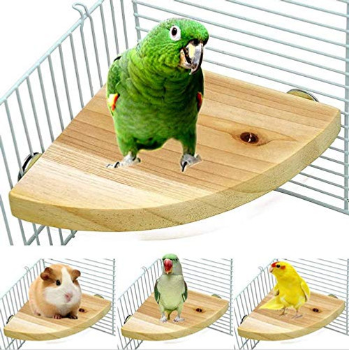 Pet Parrot Bird Cage Perches Bird Perch Stand Platform Wood Parrot Cage Stand Playground Cage Accessories Bird for Parrot Parakeet Conure 17x17cn Cockatiel Hamster Gerbil Cage Accessories Exercise Toys