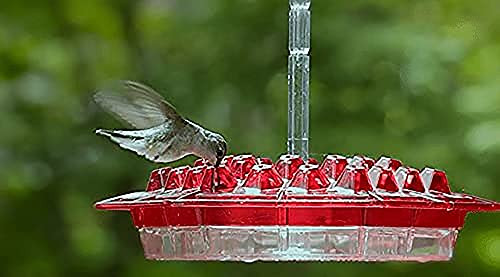 Mary's Sweety Hummingbird Feeder - Easy to Clean,with 30 Feeding Ports,Best Hummingbird Feeders,for Outdoor Hanging Yard Garden Decoration, Deck, Patio -1pcs- Mary's Sweety Hummingbird Feeder - Easy to Clean,with 30 Feeding Ports,Best Hummingbird Feeders,for Outdoor Hanging Yard Garden Decoration, Deck, Patio -1pcs-