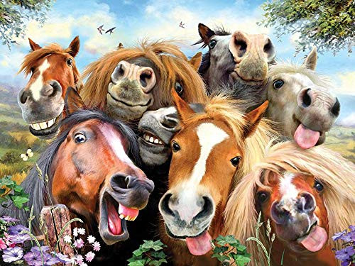 Wallors Funny Plaques Poster for Room Cafe Home Pub Horses Selfie Metal Signs Vintage Funny Tin Sign 8" x 12" Wall Decor Wallors Funny Plaques Poster for Room Cafe Home Pub Horses Selfie Metal Signs Vintage Funny Tin Sign 8" x 12" Wall Decor