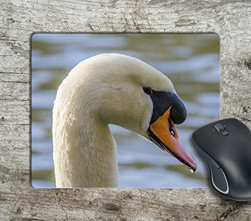 Swan Photography Fan Computer Anti-Slip Mousepad Mouse Pad Mouse Mat Matt Pad
