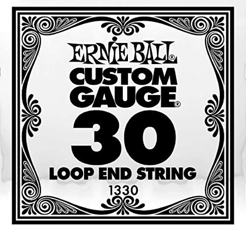 Ernie Ball 1330 -- .030 Loop End Stainless Steel Wound Banjo or Mandolin Guitar SINGLE String