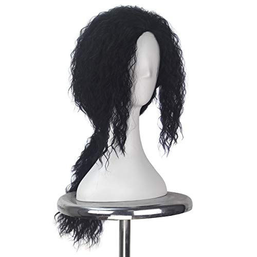 Miss U Hair Men's Long Fluffy Curly Hair Punk Heavy Metal Wig 70s 80s Halloween Cosplay Costume Wig -Black-