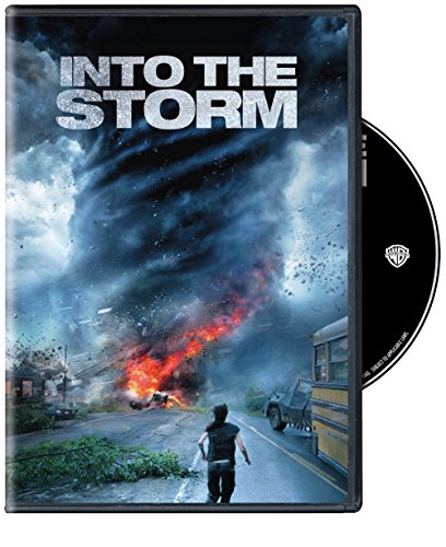 Into The Storm -DVD-