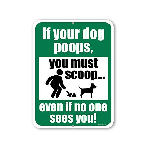 Honey Dew Gifts, Dog Poop Signs for Yard, If Your Dog Poops Please Scoop Yard Sign, 9 inch by 12 inch, Funny No Dog Poop Sign, Warning Poop Clean Sign, Clean Up After Your Dog Sign Honey Dew Gifts, Dog Poop Signs for Yard, If Your Dog Poops Please Scoop Yard Sign, 9 inch by 12 inch, Funny No Dog Poop Sign, Warning Poop Clean Sign, Clean Up After Your Dog Sign