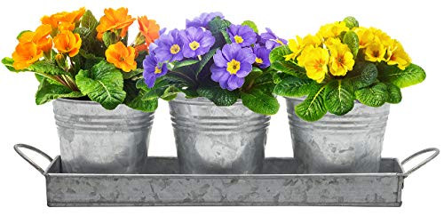 Sorbus Planter Pots and Tray Caddy, 3 Buckets with Handles, Great Windowsill Planter for Succulents, Herbs, Arts and Crafts, Vintage Rustic Farmhouse Decor, Galvanized Metal