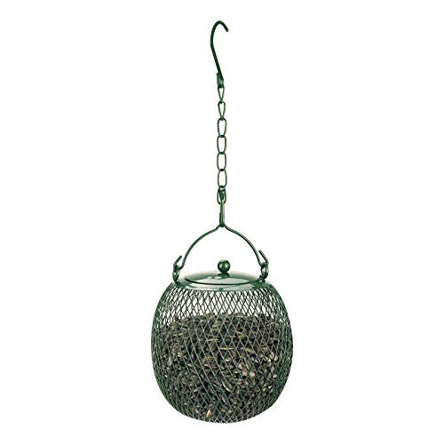 Bird Feeder Seed Ball Sunflower Feeder Squirrel Proof Bird Feeders for Outside -Green-