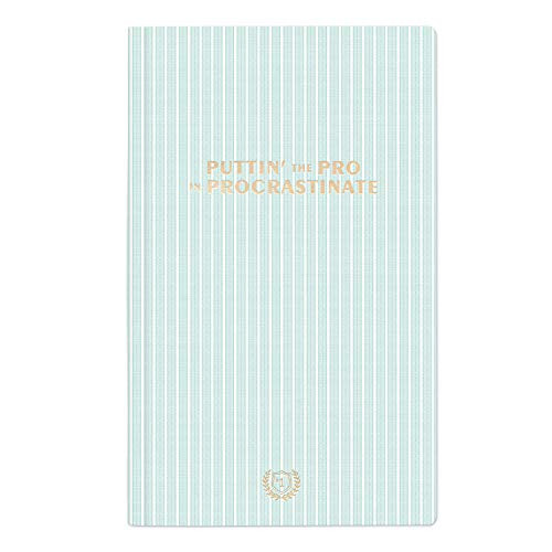 DesignWorks Ink Cloth Cover Notebook, -7.25" x 11.75"-, Procrastinate - Mint Stripe