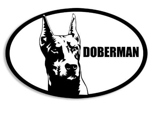 American Vinyl Oval Doberman Face Image Sticker -Pincher Dog Breed Decal-