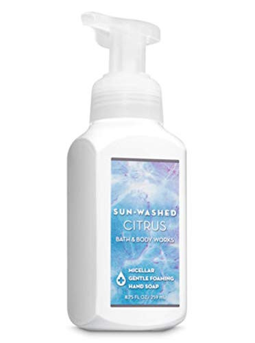 Bath and Body Works -2019 Edition- Sun-washed Citrus Micellar Gentle Foaming Hand Soap