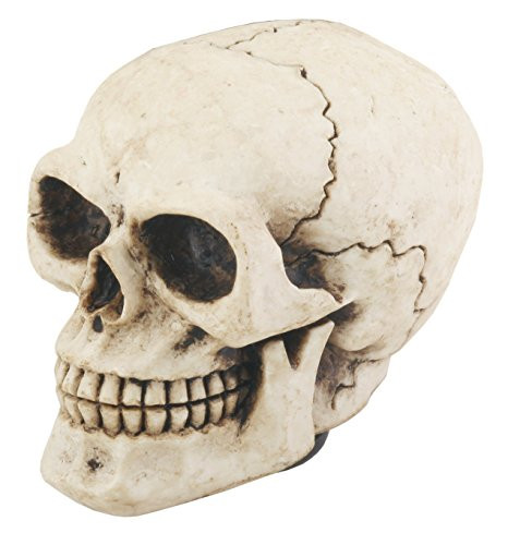 YTC Skull Shift Knob - Collectible Figurine Statue Sculpture Figure Model