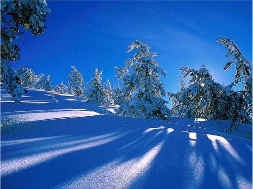 Pine Trees on Mountain with Snow - Etched Vinyl Stained Glass Film, Static Cling Window Decal Pine Trees on Mountain with Snow - Etched Vinyl Stained Glass Film, Static Cling Window Decal