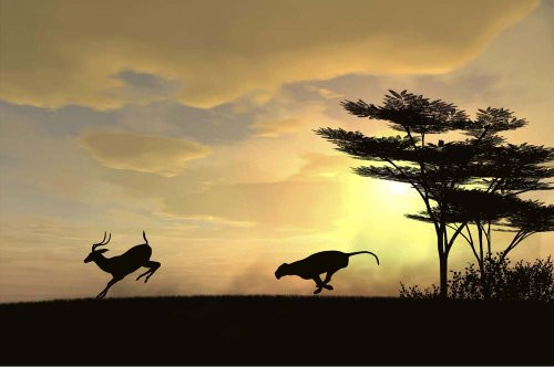 Silhouette of Cheetah Chasing an Antelope-Etched Vinyl Stained Glass Film, Static Cling Window Decal Silhouette of Cheetah Chasing an Antelope-Etched Vinyl Stained Glass Film, Static Cling Window Decal