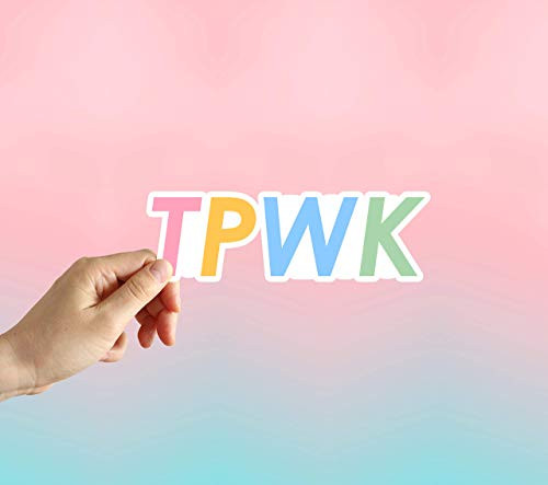 TPWK Colorful Sticker, Laptop Sticker, Water Bottle Sticker, Phone Sticker, Window Sticker, Treat People With Kindness Sticker, Be Kind Sticker