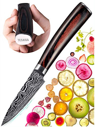 TESAIGA Paring Knife 3.5 Inch, Fruit Knives, High Carbon Stainless Steel, Pakkawood Handle, Utility Cutlery Cutting Peeling for Fruit Vegetable