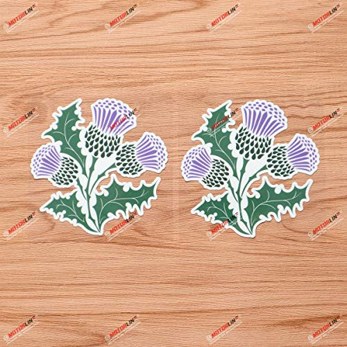 Thistle Flower Scottish Scotland Vinyl Decal Sticker - 2 Pack Glossy Style C, 4 Inches - for Car Boat Laptop Cup Thistle Flower Scottish Scotland Vinyl Decal Sticker - 2 Pack Glossy Style C, 4 Inches - for Car Boat Laptop Cup