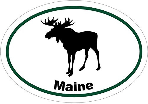 WickedGoodz Oval Maine Moose Vinyl Decal - ME Bumper Sticker - Perfect Maine Vacationer Gift