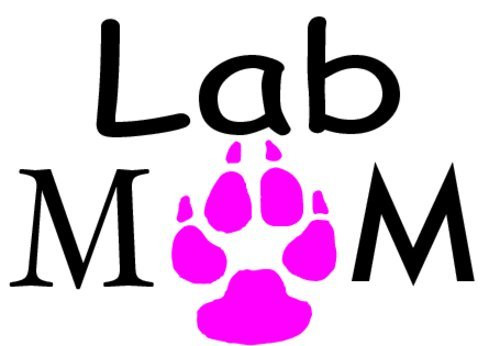 WickedGoodz Vinyl Pink Paw Lab Mom Decal - Labrador Retriever Bumper Sticker - Perfect Labrador Dog Pet Owner Gift WickedGoodz Vinyl Pink Paw Lab Mom Decal - Labrador Retriever Bumper Sticker - Perfect Labrador Dog Pet Owner Gift