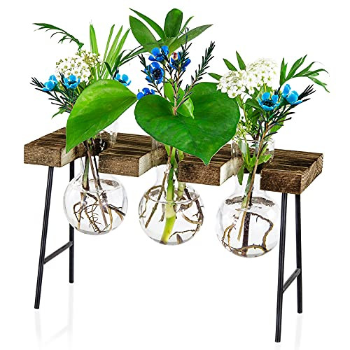 Waytoeast Propagation Stations Desktop Air Plant Terrarium, Glass Planter Bulb Glass Vase with Wooden Stand - Plant Terrarium for Hydroponics Plants Home Garden Office Decoration Waytoeast Propagation Stations Desktop Air Plant Terrarium, Glass Planter Bulb Glass Vase with Wooden Stand - Plant Terrarium for Hydroponics Plants Home Garden Office Decoration
