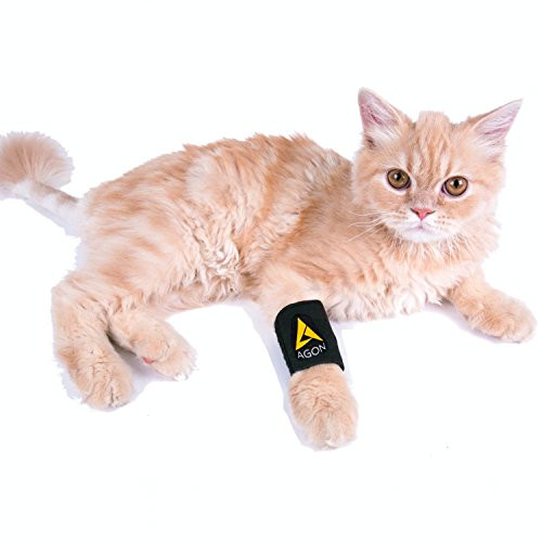 AGON Dog Canine Front Leg Brace Paw Compression Wraps with Protects Wounds Brace Heals and Prevents Injuries and Sprains Helps with Loss of Stability Caused by Arthritis -XXS/XS-