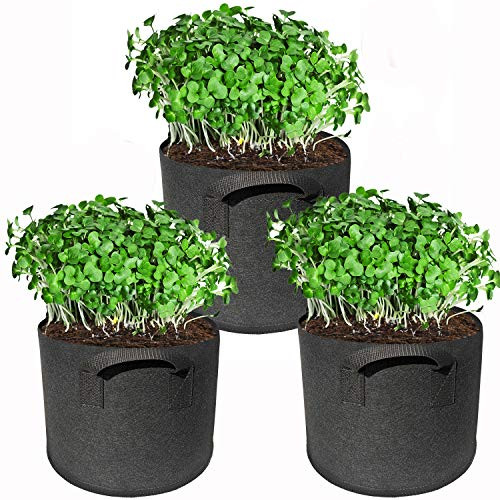 Plant Grow Bags,Pack of 3 Aeration Fabric Pots Grow Bag Plant Fabric Pots Potato Grow Bags with Handles for Vegetables,Flowers,Plants,Strawberry,Tomato,Fruits,Garden Bag Planter Pots,5 Gallon,Black