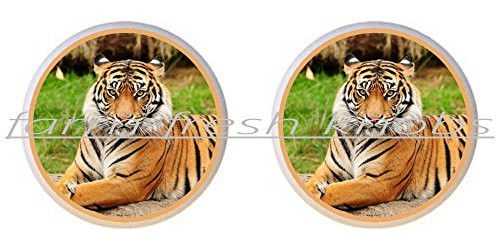 SET OF 2 KNOBS - Bengal Tiger - Big Cats - DECORATIVE Glossy CERAMIC Cupboard Cabinet PULLS Dresser Drawer KNOBS