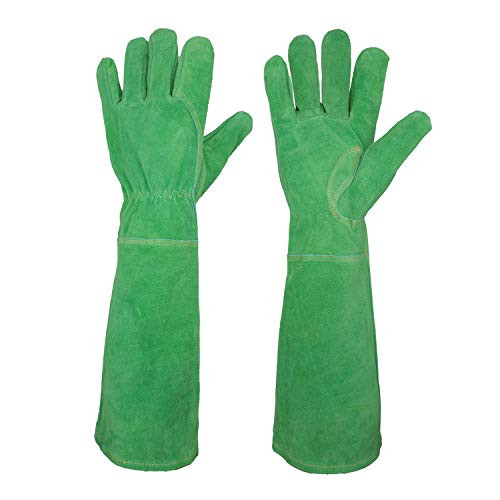 Rose Pruning Gloves for Women Long Sleeve Thorn Proof Cowhide Leather Gardening Gloves Gauntlet Garden Gloves -Medium, Green-
