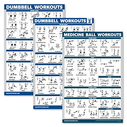 Palace Learning 3 Pack- Dumbbell Workouts Posters Volume 1  and  2  plus Medicine Ball Exercises - Set of 3 Workout Charts -Laminated, 18" x 27"-