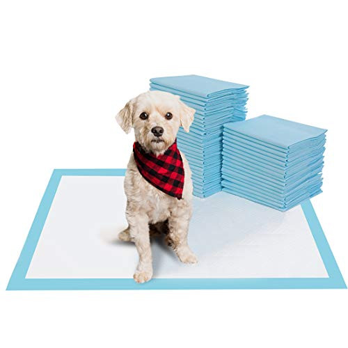 BESTLE Pet Training and Puppy Pads Pee Pads for Dogs 22"x22"-100 Count Super Absorbent  and  Leak-Proof