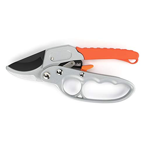 Rergy Garden Shears Gardening Tools for Women Bypass Pruning Shears for Gardening Tree Trimming Scissors, Garden Clippers Plant Pruning Shears for Tree Trimming Hand TYTS005 -1 Pack-