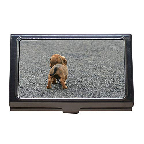 Business Name Card Holder,Dog Puppy Sausage Brown Small Cute,Business Card Case Stainless Steel Business Name Card Holder,Dog Puppy Sausage Brown Small Cute,Business Card Case Stainless Steel