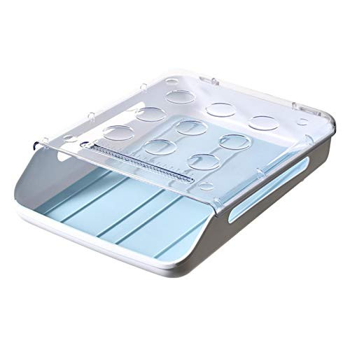 Egg Storage Box Kitchen Refrigerator Egg Tray Storage Container Plastic Fresh Fridge Egg Case Storage