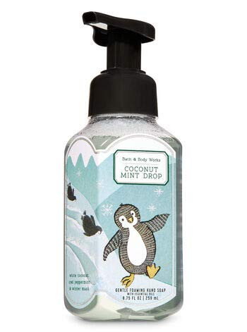 Coconut Mint Drop Gentle Foaming Hand Soap 2019