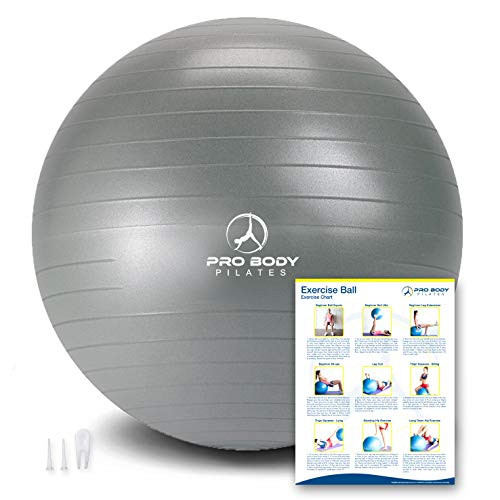 ProBody Pilates Exercise Ball - Professional Grade Anti-Burst Fitness, Balance Ball for Yoga, Birthing, Stability Gym Workout Training and Physical Therapy - Work Out Guide -Silver -No Pump-, 65 cm-