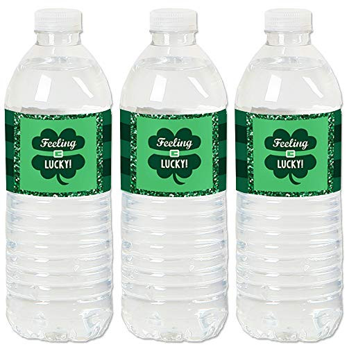 St. Patrick's Day - Saint Patty's Day Party Water Bottle Sticker Labels - Set of 20