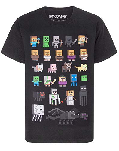 Minecraft Boys Short Sleeved T-Shirt -14-15 Years-