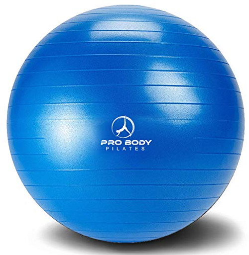 Exercise Ball - Professional Grade Anti-Burst Yoga Ball, Balance Ball for Pilates, Yoga, Stability Training and Physical Therapy -Blue -No Pump-, 65cm- Exercise Ball - Professional Grade Anti-Burst Yoga Ball, Balance Ball for Pilates, Yoga, Stability Training and Physical Therapy -Blue -No Pump-, 65cm-