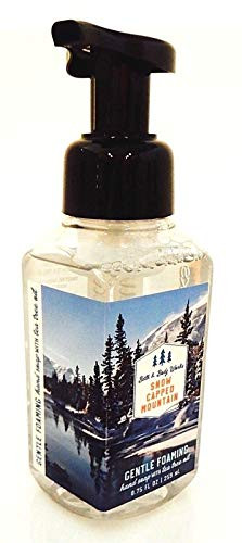 Bath Body Works Gentle Foaming Hand Soap Snow Capped Mountain