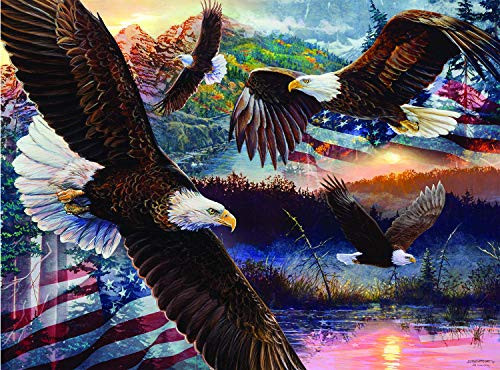SUNSOUT INC Land of Freedom 1000 pc Jigsaw Puzzle