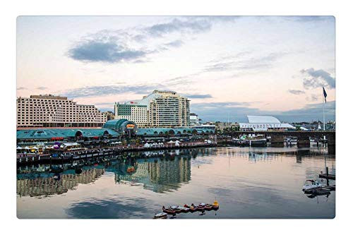 LESGAULEST Doormat Floor Rug/Mat -23.6 x 15.7 inch- - Darling Harbour Sydney Australia Dawn Buildings 1 LESGAULEST Doormat Floor Rug/Mat -23.6 x 15.7 inch- - Darling Harbour Sydney Australia Dawn Buildings 1