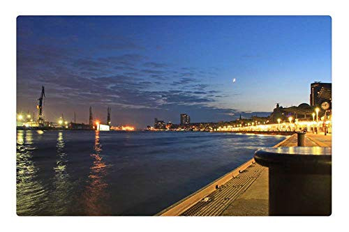 LESGAULEST Doormat Floor Rug/Mat -23.6 x 15.7 inch- - Harbour City Hamburg Port Germany Elbe Water LESGAULEST Doormat Floor Rug/Mat -23.6 x 15.7 inch- - Harbour City Hamburg Port Germany Elbe Water