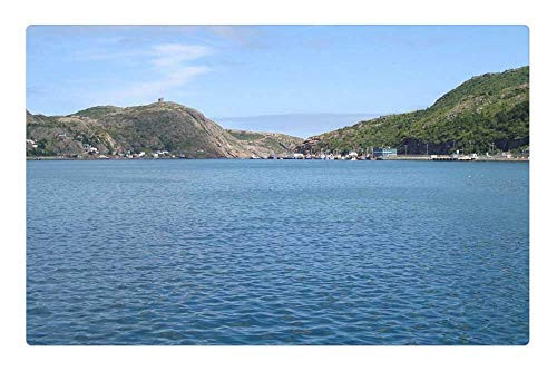 LESGAULEST Doormat Floor Rug/Mat -23.6 x 15.7 inch- - Harbour Bay Port Water Blue St John Harbor