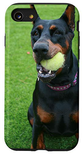 iPhone SE -2020- / 7 / 8 Doberman Pinscher Playing With A Tennis Ball Funny Case