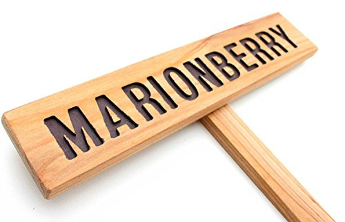 MARIONBERRY Garden Sign, Yard Art, Berry Marker, Fruit Sign, Outdoor Signage, Garden Decor, Summer Berries, Berries Sign, Lawn Marker