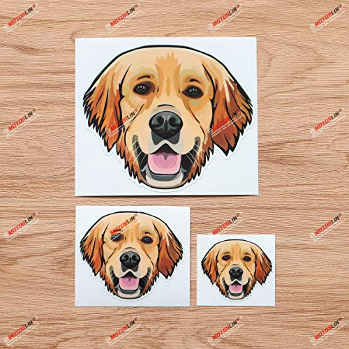 Golden Retriever Cute Dog Head Vinyl Decal Sticker - 3 Pack Glossy, 2 Inches, 3 Inches, 5 Inches - for Car Boat Laptop Cup Phone