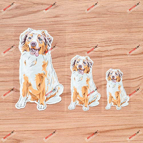 Australian Shepherd Dog Sitting Vinyl Decal Sticker - 3 Pack Glossy, 3 Inches, 4 Inches, 6 Inches - for Car Boat Laptop Cup Phone 09040