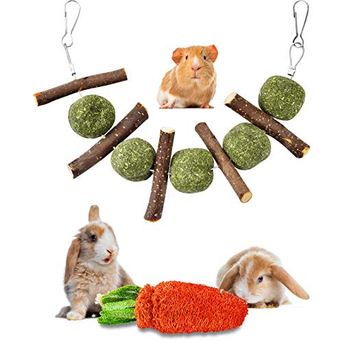 GANBRIPS Rabbit Chew Toys, Fun Pet Bunny Chew Toys for Teeth, No Glue Loofah Carrot, Natural Organic Apple Wood Sticks with Timothy Hay Balls Treat Toys for Hamsters, Rabbit, Chinchillas, Guinea Pigs GANBRIPS Rabbit Chew Toys, Fun Pet Bunny Chew Toys for Teeth, No Glue Loofah Carrot, Natural Organic Apple Wood Sticks with Timothy Hay Balls Treat Toys for Hamsters, Rabbit, Chinchillas, Guinea Pigs