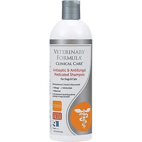 Veterinary Formula Clinical Care Antiseptic and Antifungal Shampoo for Dogs and Cats, 16 oz  Medicated Shampoo to Relieve, Heal and Soothe Fungal and Bacterial Skin Infections