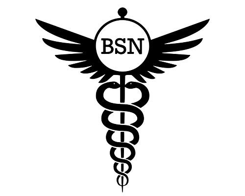 Custom BSN Nurse Vinyl Decal - Caduceus Nursing Bumper Sticker, for Tumblers, Laptops, Car Windows - Rn Cna LPN Decal