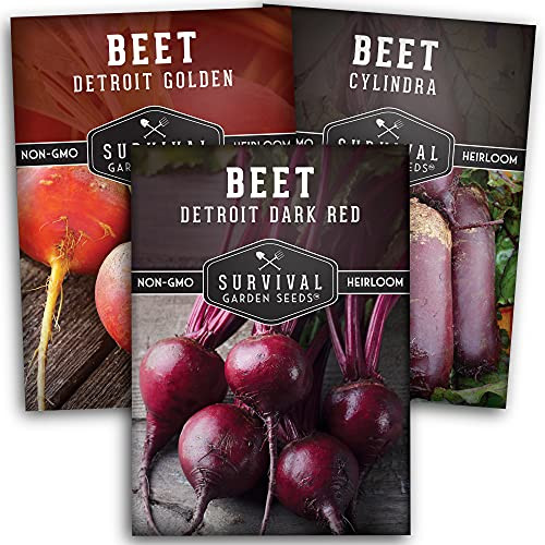 Survival Garden Seeds Beet Collection Seed Vault - Detroit Red, Detroit Golden, Cylindra - Non-GMO Heirloom Survival Garden Vegetable Seeds for Planting
