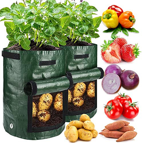 2 Pack 10 Gallon Garden Potato Grow Bags with Flap and Handles Aeration Fabric Planter Pots , Heavy Duty Potato Planters Garden Planting Bags for Onion, Fruits, Tomato, Carrot -Green- 2 Pack 10 Gallon Garden Potato Grow Bags with Flap and Handles Aeration Fabric Planter Pots , Heavy Duty Potato Planters Garden Planting Bags for Onion, Fruits, Tomato, Carrot -Green-